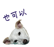 787839792