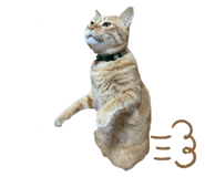 787844090