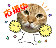 787844097
