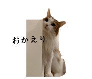 787844104