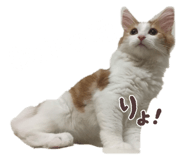 787844107