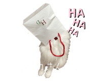 787844108