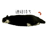 787844109