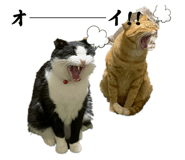 787844111