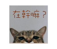787854980