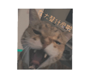 787854984
