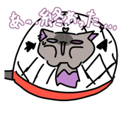 787855645