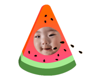 787857511