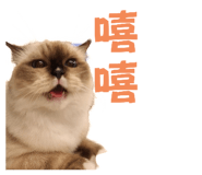 787878994