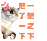 787878996