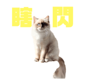787878997