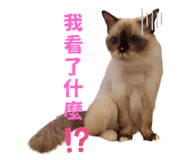 787879006