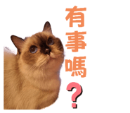 787879007