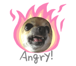 787881179