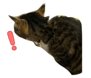 787886936