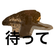 787888284
