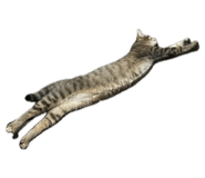 787893932