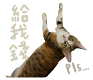 787894724