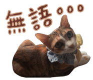 787894730