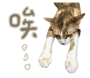 787894732