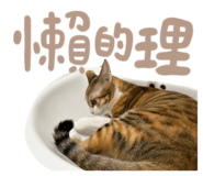 787894736