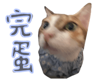 787894738