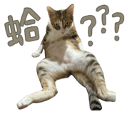 787894744