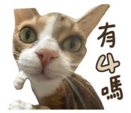 787894745