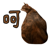 787894752