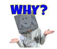 787895312