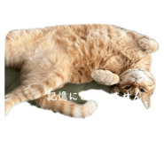 787896870