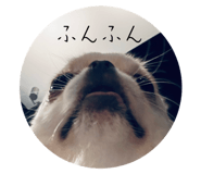 787909701