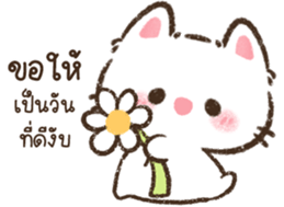แมวจิ๋ว <3 รูปที่ 13