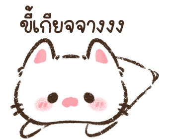 ลายที่ 20