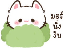แมวจิ๋ว <3 รูปที่ 21