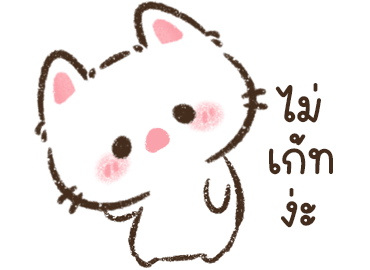 ลายที่ 28