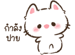 แมวจิ๋ว <3 รูปที่ 30