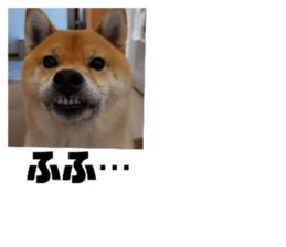 787941490