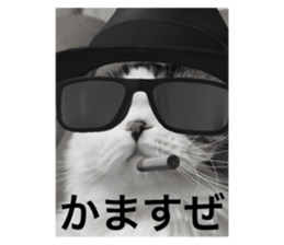787941636