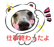 787946311