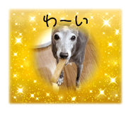 787946334
