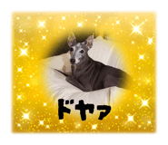 787946335