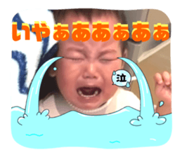 787950661