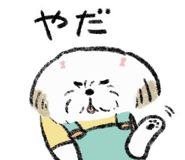 787955370