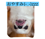 787975371