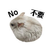 787979225