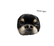 787987510
