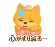 787988505
