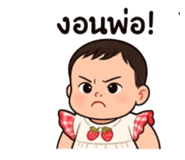 788002504