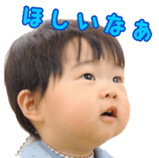 78801201